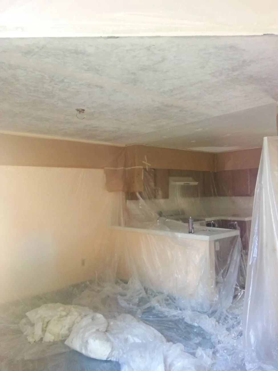 Acoustic Ceiling Removal (Popcorn)